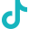 TikTok logo icon